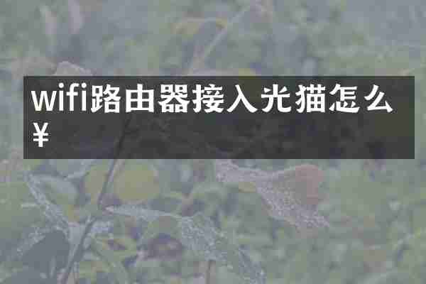 wifi路由器接入光猫怎么接