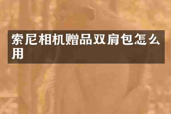索尼相机赠品双肩包怎么用