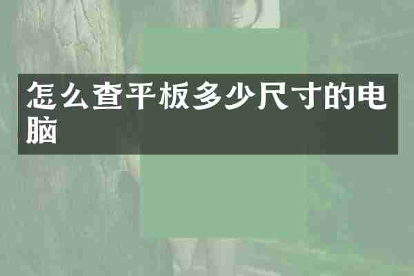 怎么查平板多少尺寸的电脑