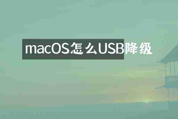 macOS怎么USB降级