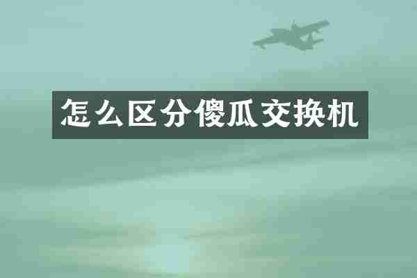 怎么区分傻瓜交换机