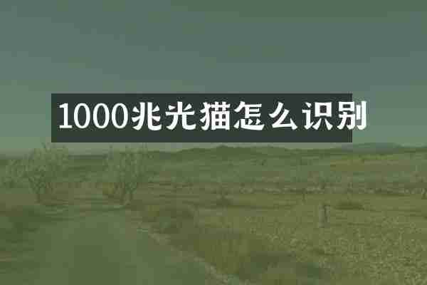 1000兆光猫怎么识别