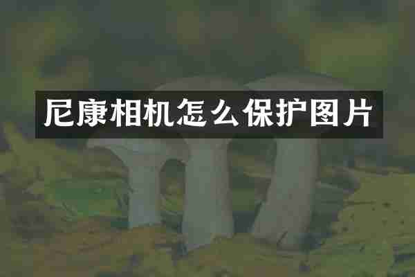 尼康相机怎么保护图片