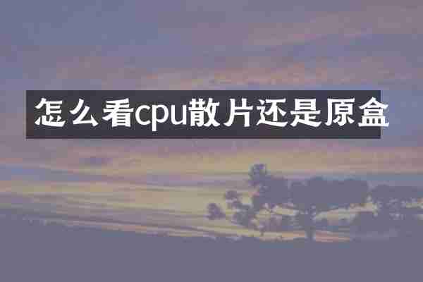 怎么看cpu散片还是原盒