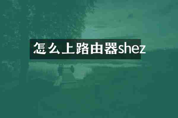 怎么上路由器shez