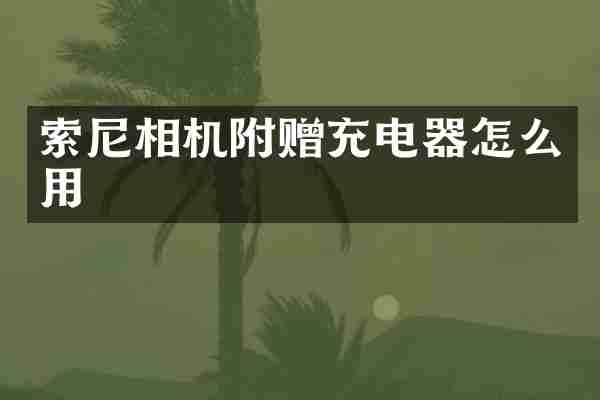 索尼相机附赠充电器怎么用