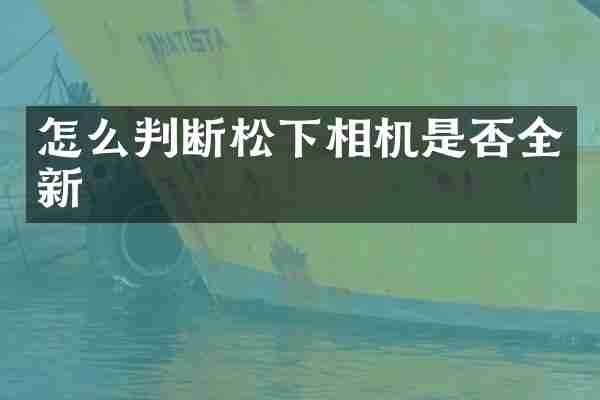 怎么判断松下相机是否全新