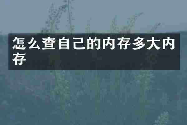 怎么查自己的内存多大内存