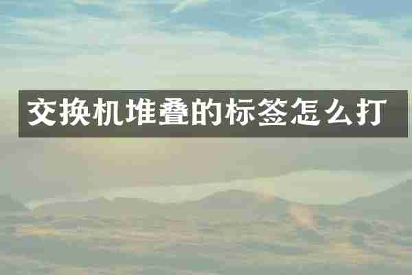 交换机堆叠的标签怎么打