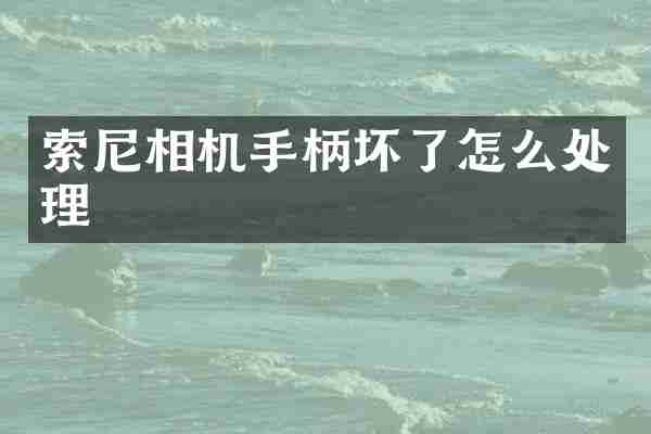 索尼相机手柄坏了怎么处理