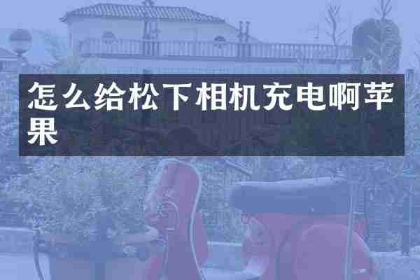 怎么给松下相机充电啊苹果