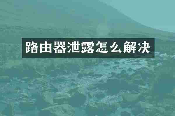 路由器泄露怎么解决