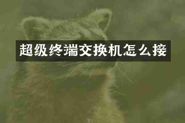 超级终端交换机怎么接