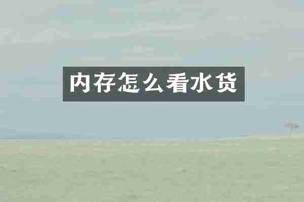 内存怎么看水货