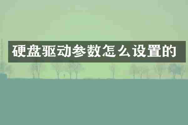 硬盘驱动参数怎么设置的