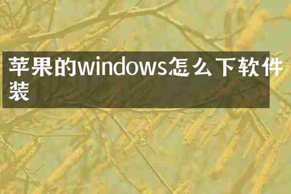苹果的windows怎么下软件安装