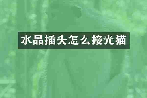 水晶插头怎么接光猫