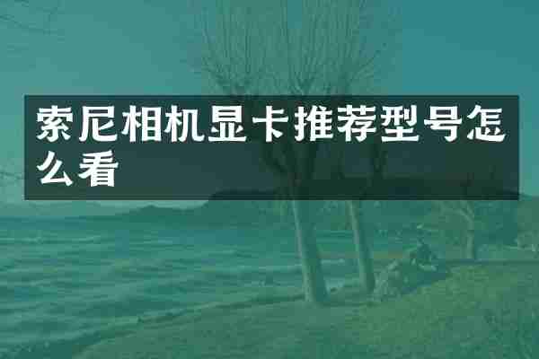 索尼相机显卡推荐型号怎么看