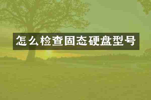 怎么检查固态硬盘型号