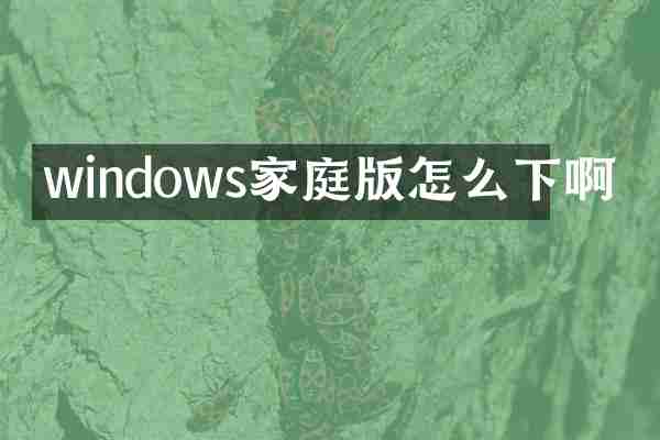 windows家庭版怎么下啊