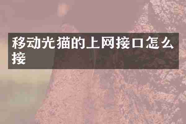 移动光猫的上网接口怎么接