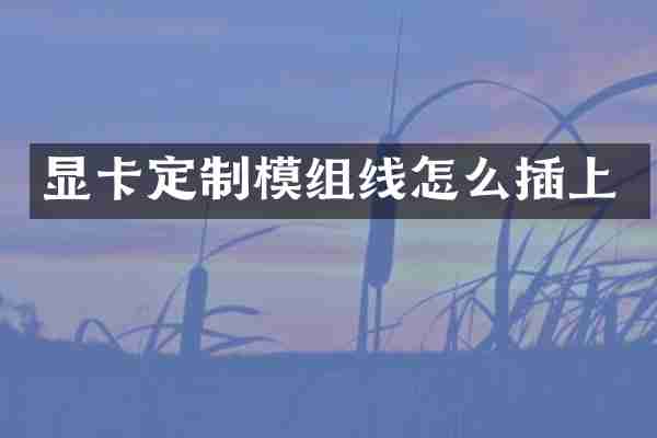 显卡定制模组线怎么插上
