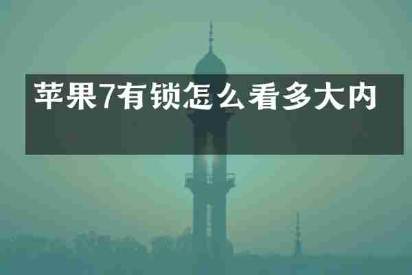 苹果7有锁怎么看多大内存