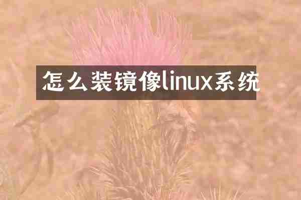 怎么装镜像linux系统