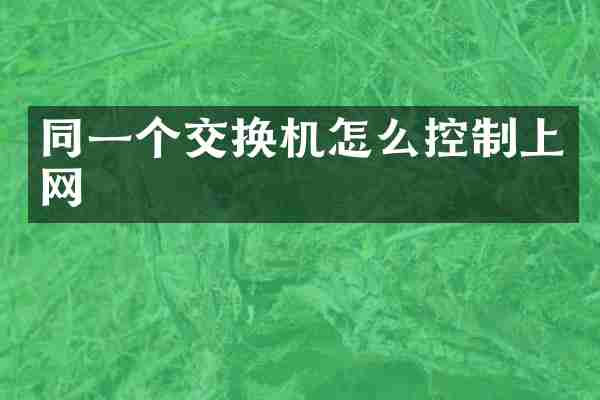 同一个交换机怎么控制上网