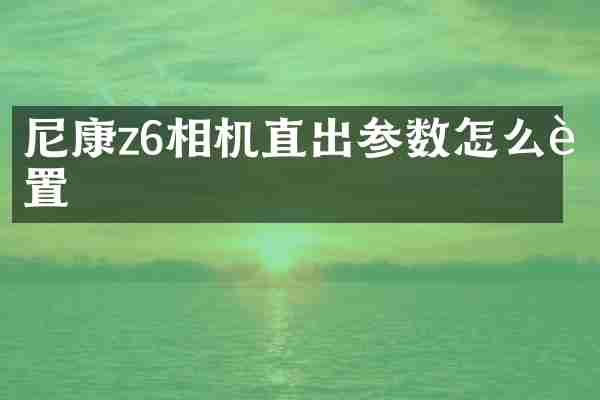尼康z6相机直出参数怎么设置