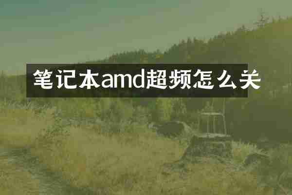 笔记本amd超频怎么关