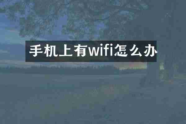 手机上有wifi怎么办