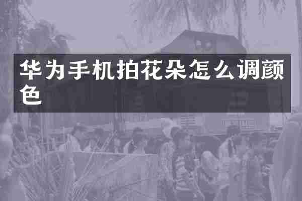 华为手机拍花朵怎么调颜色