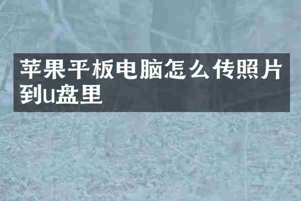 苹果平板电脑怎么传照片到u盘里