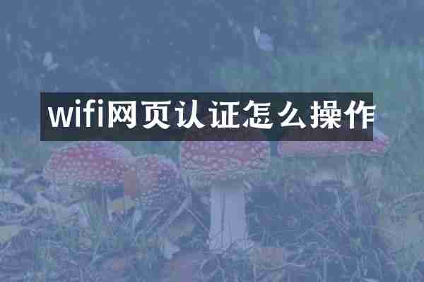 wifi网页认证怎么操作