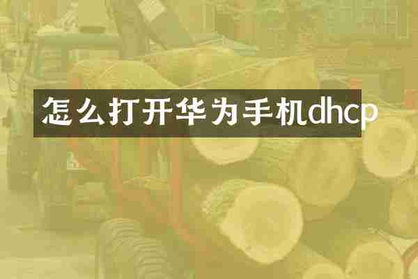 怎么打开华为手机dhcp