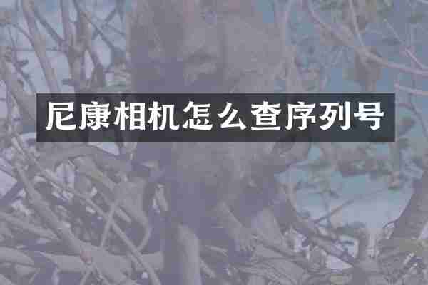 尼康相机怎么查序列号