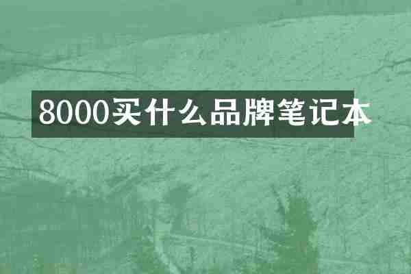 8000买什么品牌笔记本