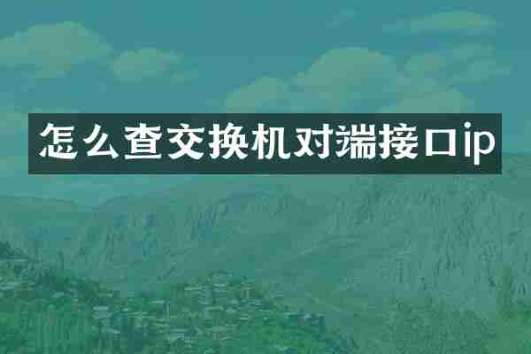 怎么查交换机对端接口ip