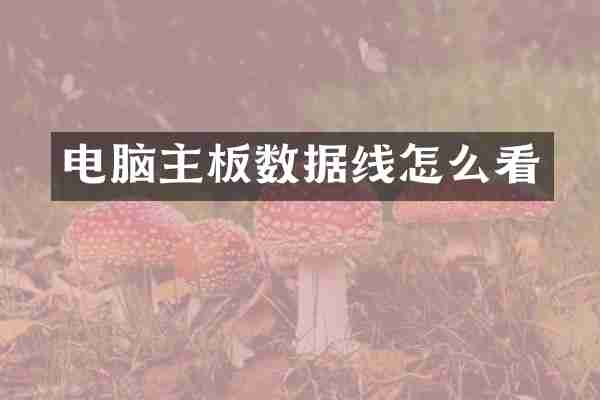 电脑主板数据线怎么看