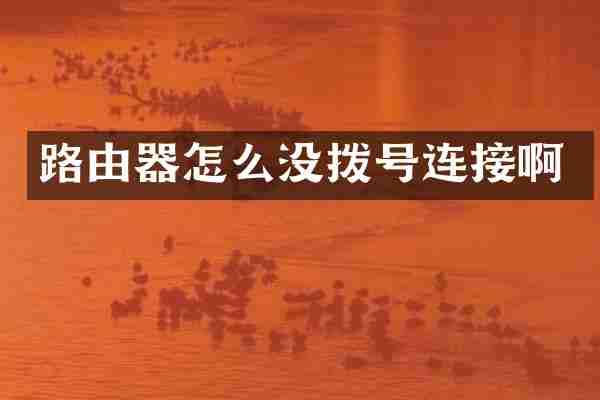 路由器怎么没拨号连接啊