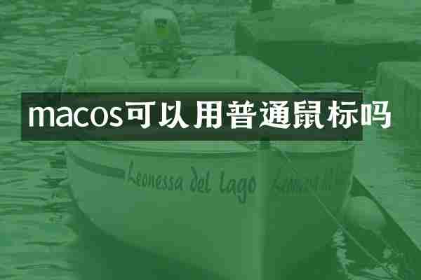 macos可以用普通鼠标吗