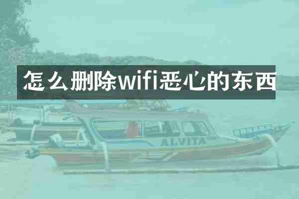 怎么删除wifi恶心的东西