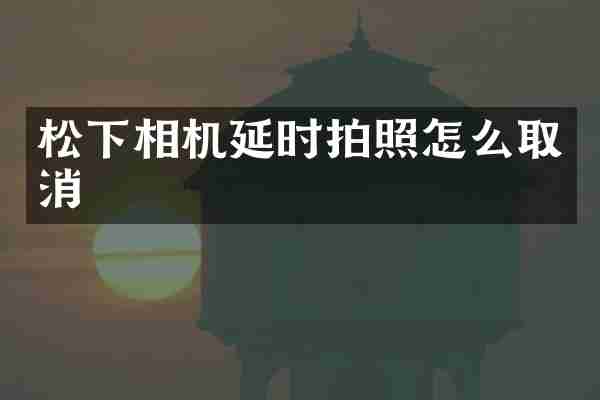 松下相机延时拍照怎么取消