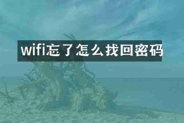wifi忘了怎么找回密码