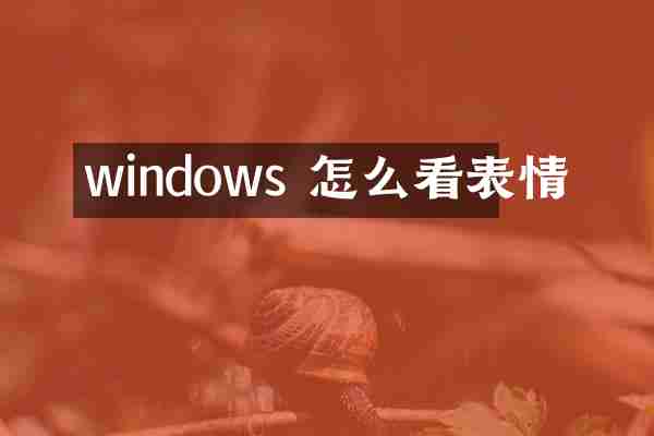 windows 怎么看表情