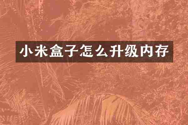 小米盒子怎么升级内存