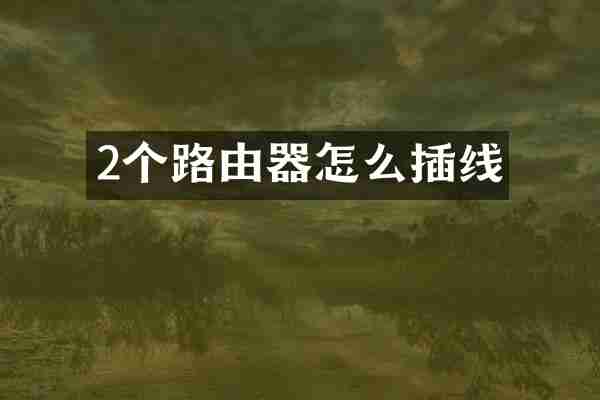 2个路由器怎么插线