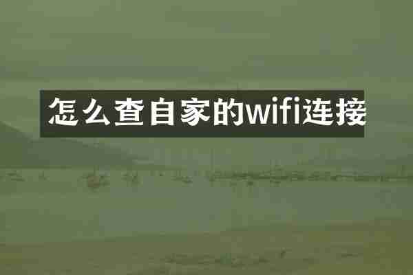 怎么查自家的wifi连接