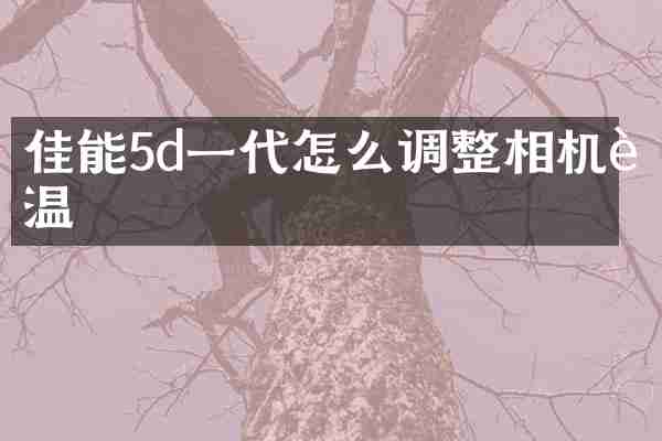 佳能5d一代怎么调整相机色温